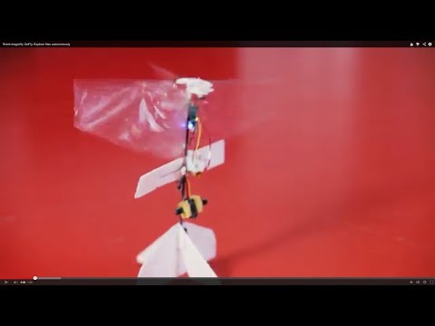 Первый самостоятельно летающий робот DelFly Explorer