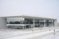 Нижегородский аэропорт "Стригино" усилил меры безопасности после терактов в Брюсселе