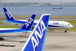 Авиакомпания ANA в Японии прекратила полеты в Бельгию до 31 марта