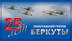 Пилотажные группы ВКС России примут участие в авиашоу по случаю 25-летия авиагруппы "Беркуты"