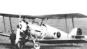 Vickers 143 Bolivian Scout (Vickers)