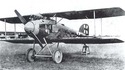 Albatros D.II (Albatros)