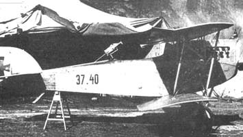 Aviatik Berg C.I (Aviatik Berg C.I)